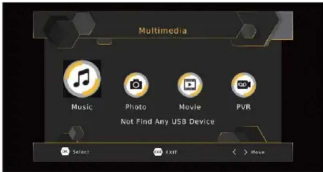 Multimedia Music Photo Movie PVR Not Find Any USB Device OK Select ON EXIT < > Move