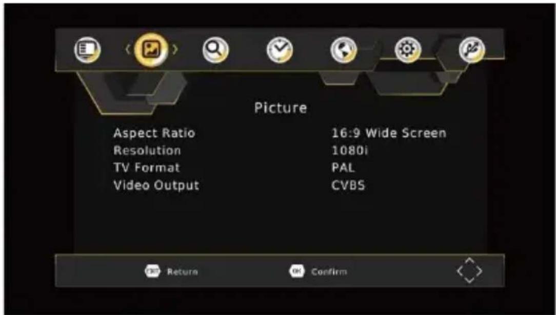 Picture Aspect Ratio Resolution TV Format Video Output 16:9 Wide Screen 1080i PAL CVBS Return Confirm