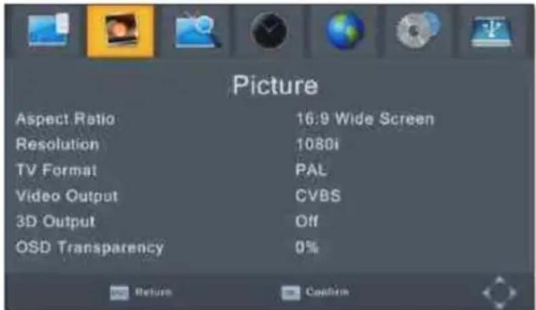 Picture Aspect Ratio 16:9 Wide Screen Resolution 1080i TV Format PAL Video Output CVBS 3D Output Off OSD Transparency 0%