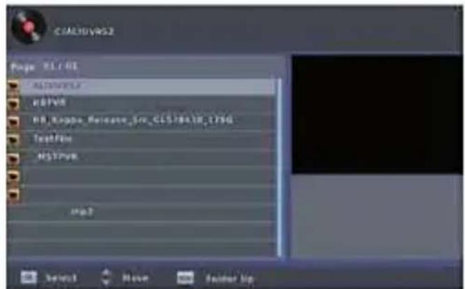C:\ALDH\VRG2 Page 81.01 HSTVYSL HSTVM RB_Ripple_Melicate_Src_CLSPRTR_17SG TestFile HSTVM Jm3