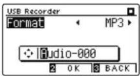 USB Recorder Format MP3 Audio-000 2 OK 3 BACK