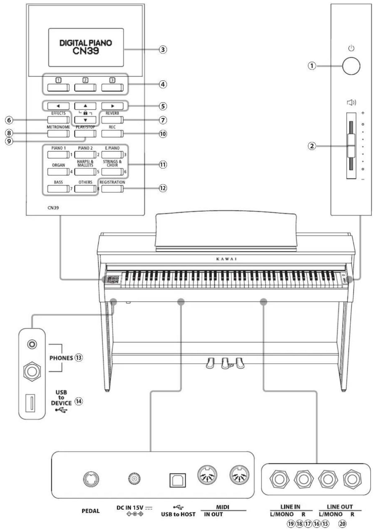 DIGITAL PIANO CN39 1 2 3 4 5 6 7 8 9 EFFECTS ▲ ▶ REVERB METRONOME PLAY/STOP REC 10 PIANO 1 PIANO 2 E.PIANO 1 2 3 ORGAN HARPSL & MALLETS STRINGS & CHOIR 4 5 6 BASS OTHERS REGISTRATION 7 8 CN39 KAWAI PHONES ⑬ USB to DEVICE ⑭ PEDAL DC IN 15V —— USB to HOST MIDI IN OUT LINE IN LINE OUT L/MONO R L/MONO R…