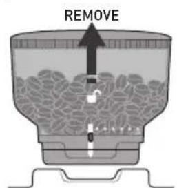 REMOVE