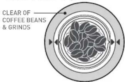 CLEAR OF COFFEE BEANS & GRINDS