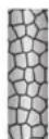 Aldi GT-HDI-01 - THE ION EFFECT - 3