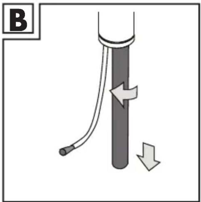 B