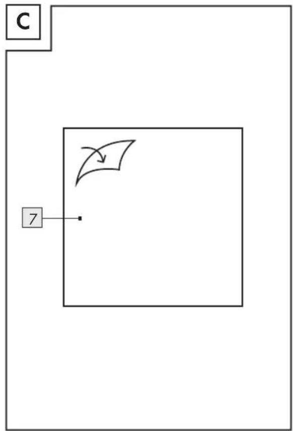 C 7