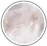 Livarno Lux HG06705 - Reiter Szene : - 5