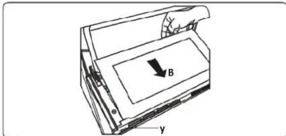 B y