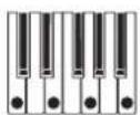 KORG Opsix native - Pattern (Arpeggiator Pattern) - 5