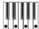 KORG Opsix native - Pattern (Arpeggiator Pattern) - 7