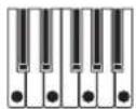 KORG Opsix native - Pattern (Arpeggiator Pattern) - 1