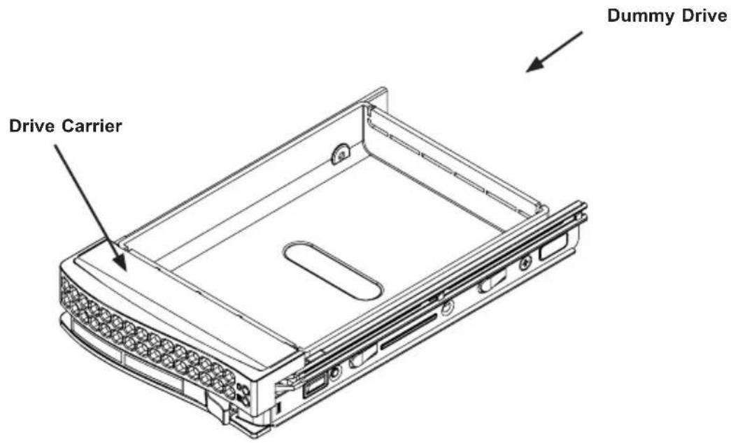 Dummy Drive Drive Carrier