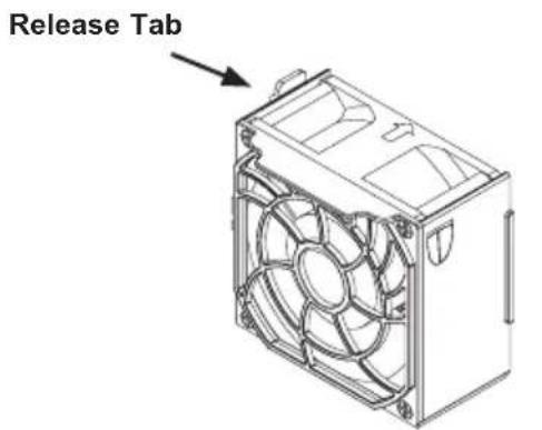 Release Tab