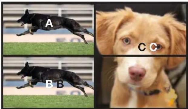A B B C C