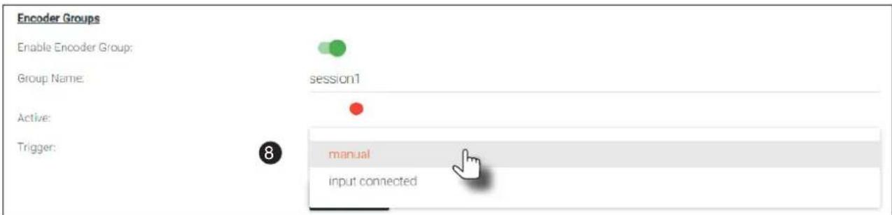 Encoder Groups Enable Encoder Group: Group Name: session1 Active: Trigger: manual input connected
