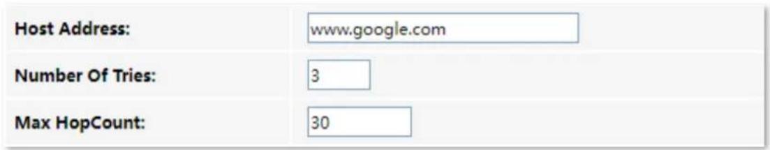 Host Address: www.google.com Number Of Tries: 3 Max HopCount: 30