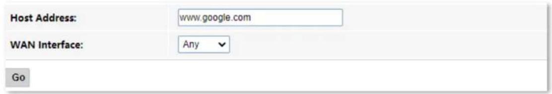 Host Address: www.google.com WAN Interface: Any Go
