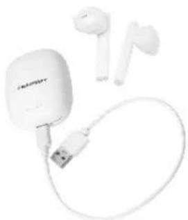 BLAUPUNKT TWS 15 - BLAUPUNKT - 1