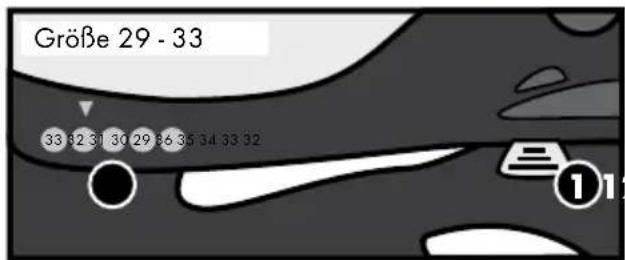 Größe 29 - 33 33 32 31 30 29 36 35 34 33 32 ①