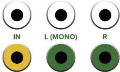 IN L (MONO) R