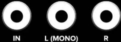 IN L (MONO) R