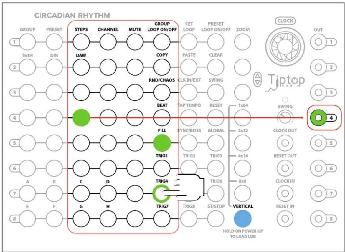 Tiptop Audio Circadian Rhythms - Fills - 1