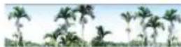 Areca ARC-1886-16I - SED Key Management-Creation - 1