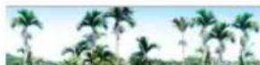 Areca ARC-1886-16I - • Collect Support Data: - 1