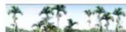 Areca ARC-1886-16I - Volume Set Migration - 1