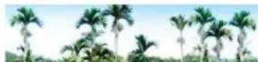 Areca ARC-1886-16I - System Config - 1