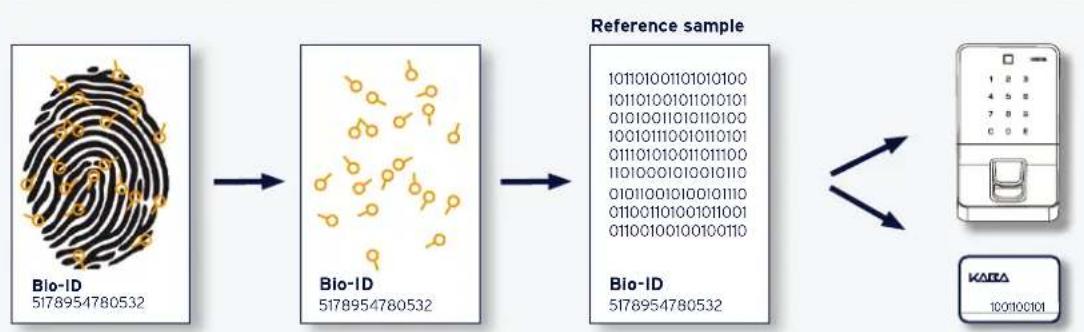 Dormakaba B-web 95 00 - How does biometric finger recognition work? - 1
