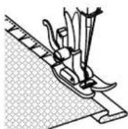 VERITAS AVA - Ric Rac - 6