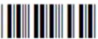 Posiflex CD-3601U - Direct input character - 12