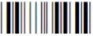 Posiflex CD-3601U - Direct input character - 55