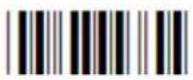 Posiflex CD-3601U - Direct input character - 17