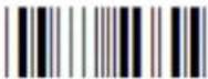 Posiflex CD-3601U - Direct input character - 51