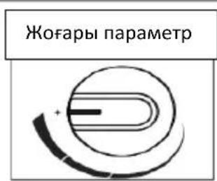 Жоғары параметр