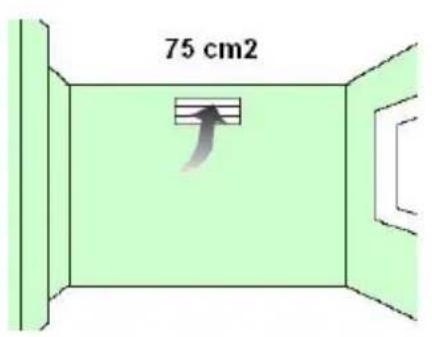 75 cm2