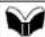 MITSUBISHI Mirage (2021) - Power door locks - 1