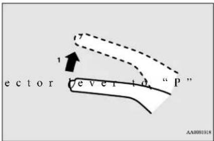 ector ever to "P" AA0001018
