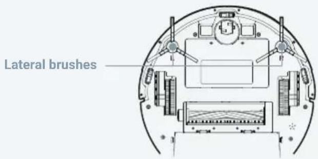 Lateral brushes