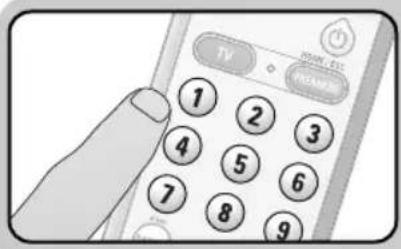 TV MAIN 12 RENEE 1 2 3 4 5 6 7 8 9