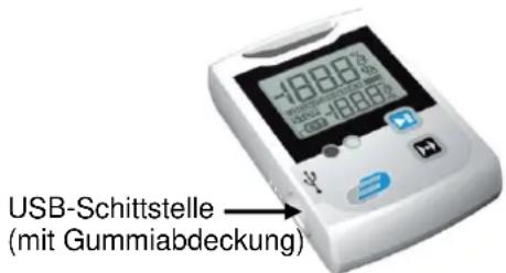 USB-Schittstelle (mit Gummiabdeckung)
