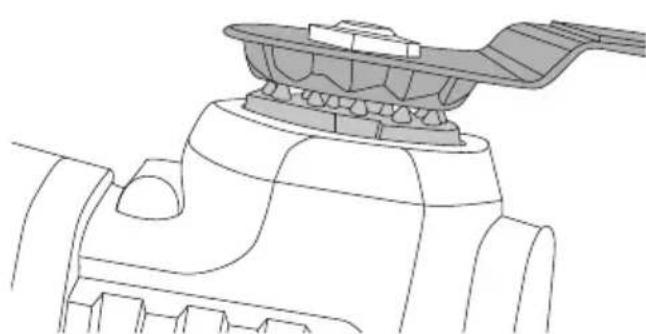 Cocraft LXC MT18 - Schleifplatte - 5