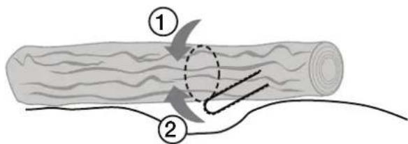 Diagram illustrating two steps of logging or processing, labeled ① and ②, with arrows indicating movement and a dashed circle highlighting a specific process.