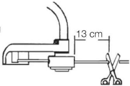 13 cm