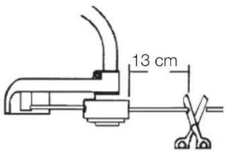 13 cm