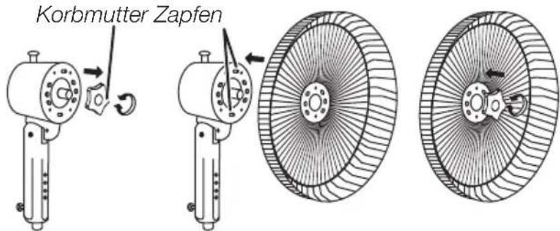 Korbmutter Zapfen