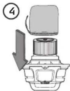 ④